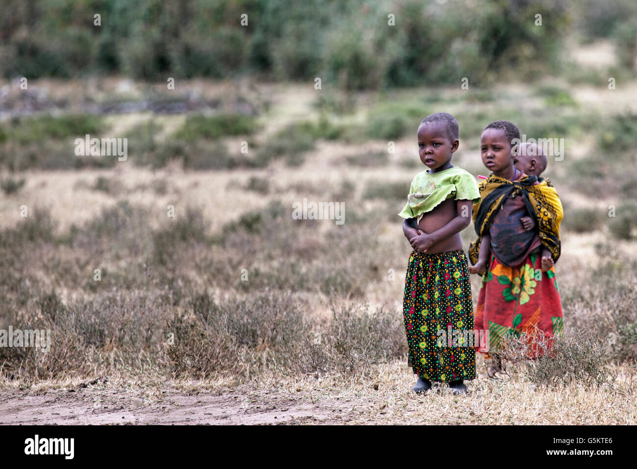 Groupe de jeunes enfants Masai, debout dans le village Masai au Kenya, Afrique. Banque D'Images