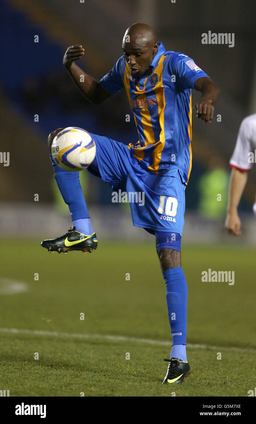 Football - npower football League One - Shrewsbury Town / Milton Keynes dons - Greenhous Meadow. Marvin Morgan, Shrewsbury Town Banque D'Images