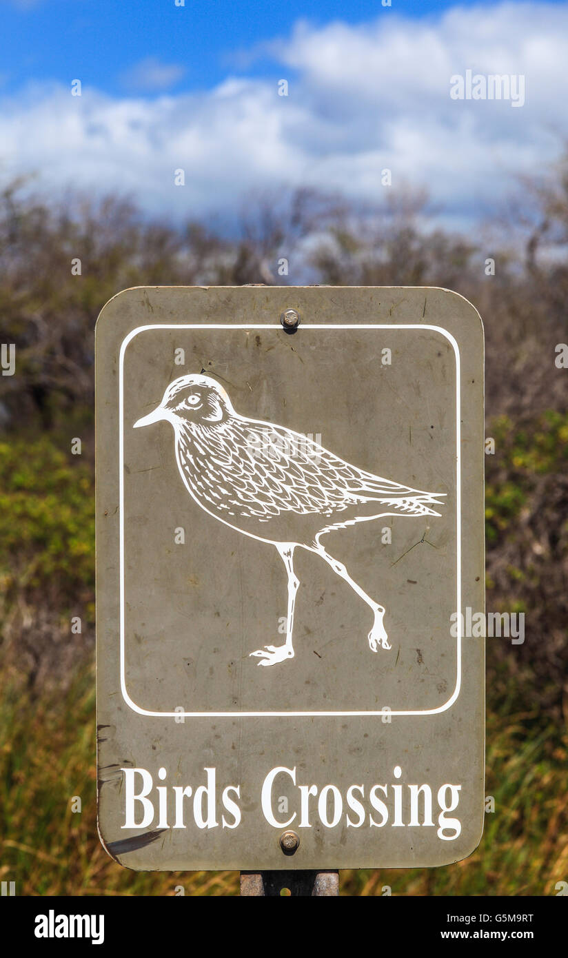 Panneau de passage à niveau à l'oiseaux Kealia National Wildlife Refuge de Maui Banque D'Images