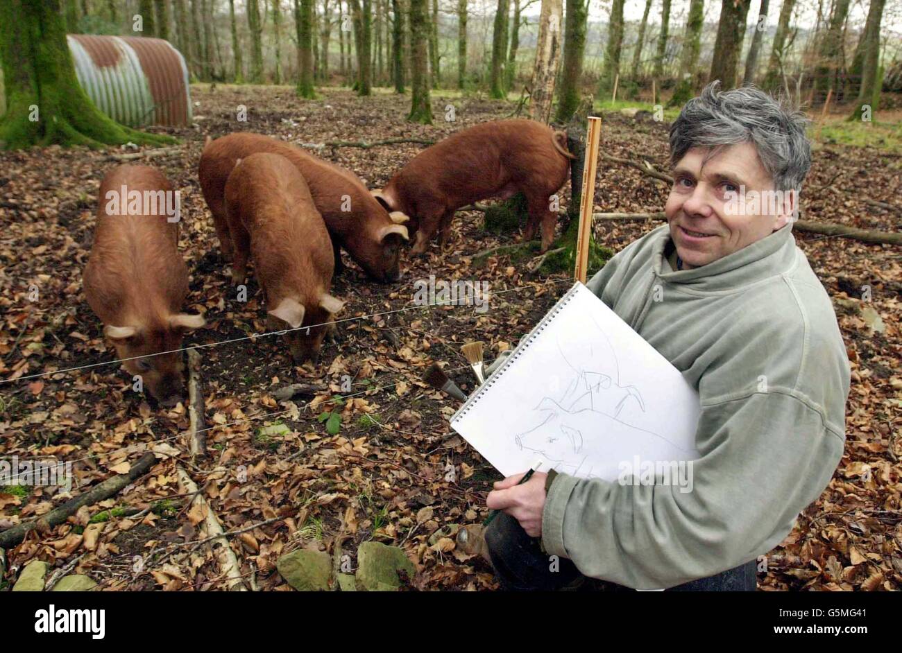 John Hurford un fermier a tourné peintre aux côtés de son prochain sujet quelques cochons croisés Tamwoth/Duroc maintenant tendus par sa femme à Chulmleigh, Devon.M. Hurford, un agriculteur touché par la bouche et le pied qui a échangé des porcs contre des pinceaux, a déclaré que sa nouvelle carrière était un succès.*...quand la maladie a frappé à Devon plus tôt cette année, le revenu de John Hurford de son exploitation porcine a séché en raison des restrictions de mouvement du bétail, de sorte qu'il a pris la palette à temps plein.Il avait peint pendant de nombreuses années, avait illustré des livres pour enfants et avait exposé des œuvres en France et en Nouvelle-Zélande, et a décidé que le temps était venu de faire de l'art Banque D'Images