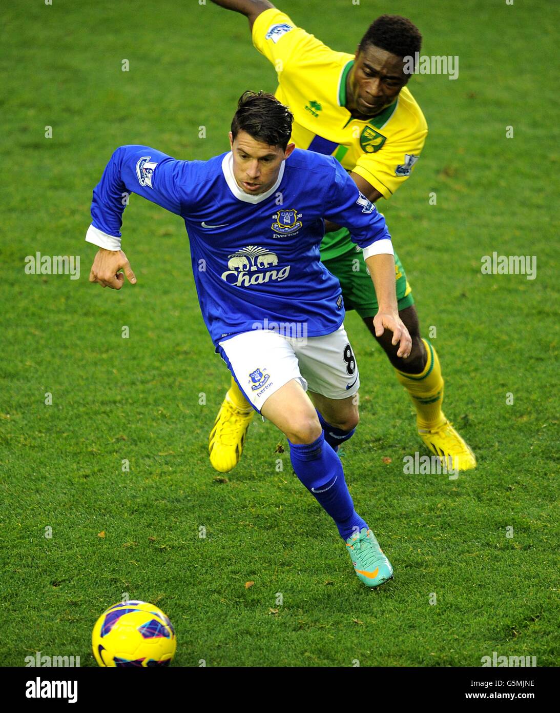 Soccer - Barclays Premier League - Everton v Norwich City - Goodison Park Banque D'Images