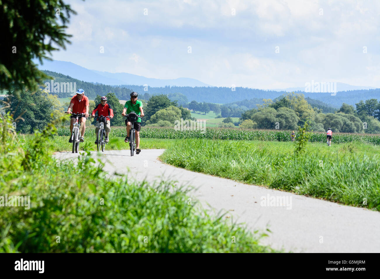 Piste cyclable à fleuve Regen, cyclistes, Miltach, Allemagne, Bavière, Bayern, Oberpfalz, Haut-Palatinat Banque D'Images
