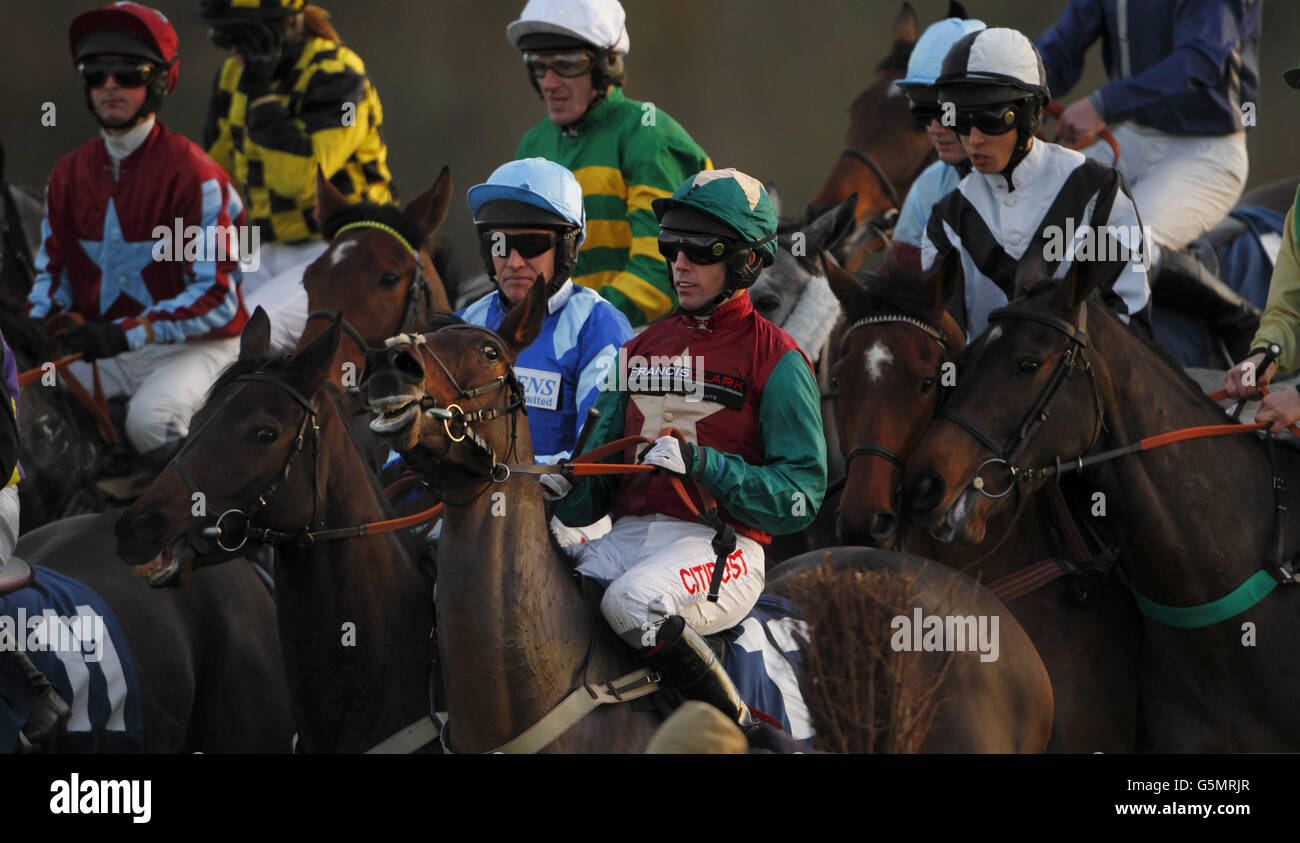 Le terrain se prépare à aller poster dans le légendaire bookmaker de John Banks Standard Open National Hunt Flat Race pendant le Festival d'hiver de Sportingbet à l'hippodrome de Newbury. APPUYEZ SUR ASSOCIATION photo. Date de la photo: Jeudi 29 novembre 2012. Le crédit photo devrait se lire: Chris Ison/PA Wire Banque D'Images