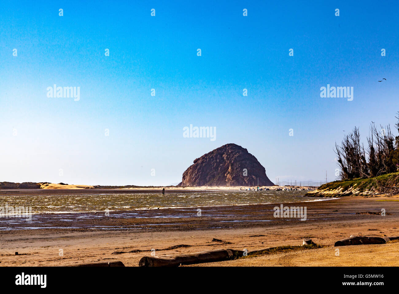 Morro Rock à Morro Bay, Californie Banque D'Images