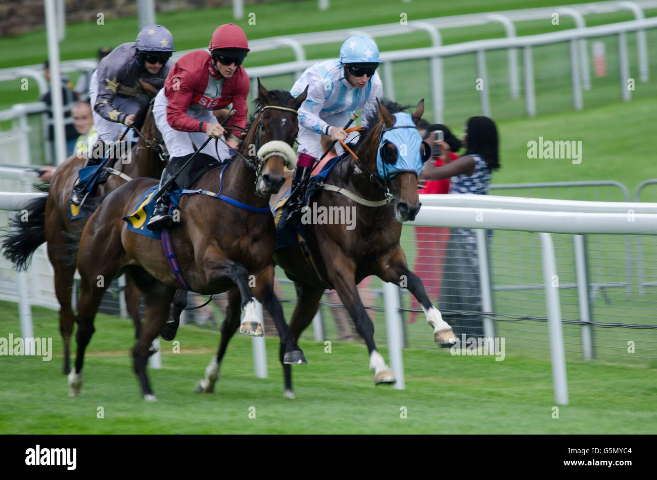 Les courses de chevaux à Chester 11 juin 2016. Banque D'Images