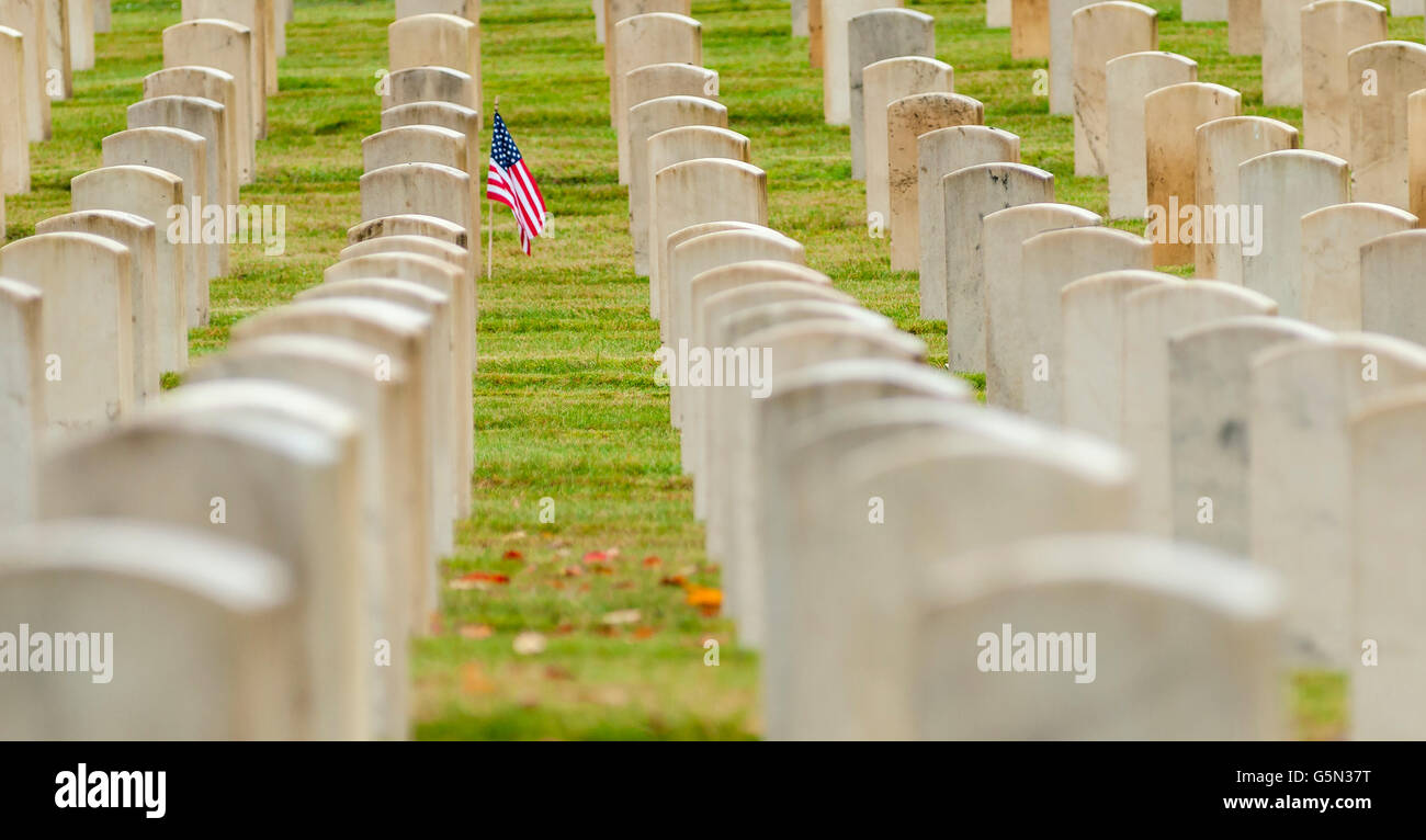 Drapeau américain planté dans le cimetière des anciens combattants Banque D'Images