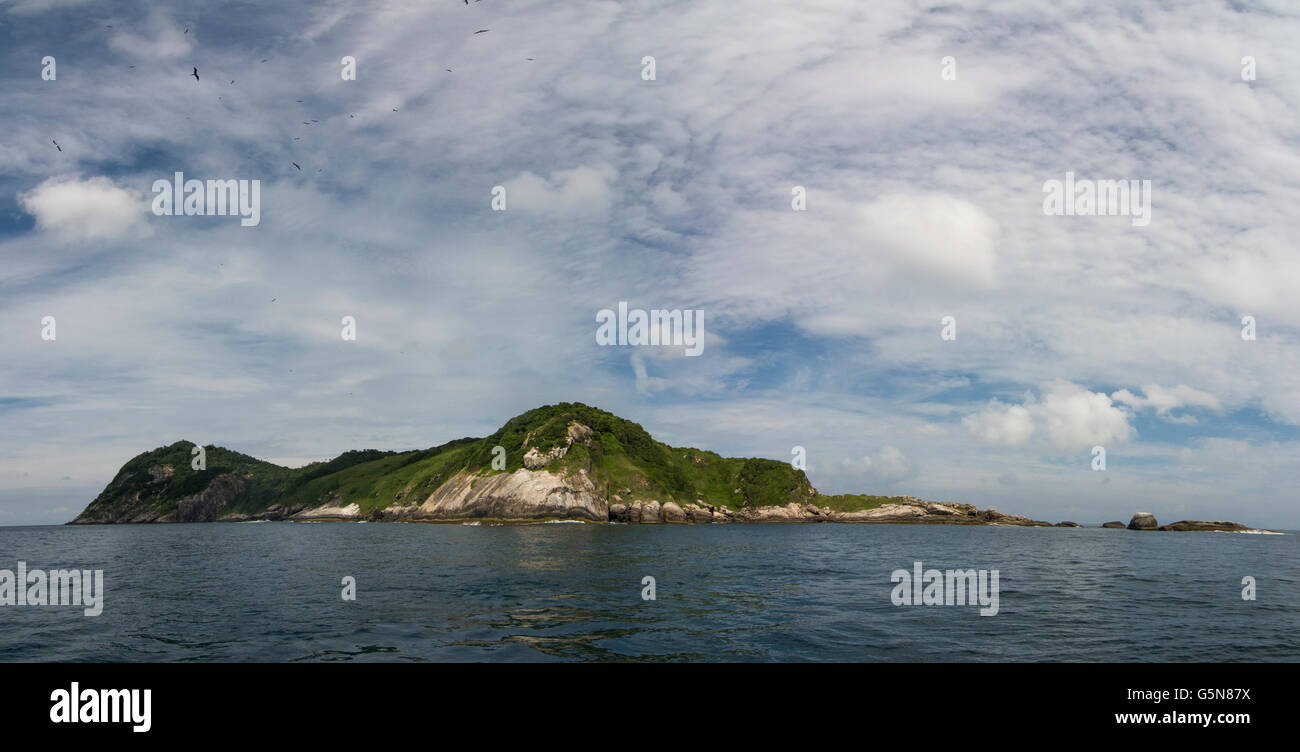 Queimada Grande island connue sous le nom de l'île Snake accueil de serpent venimeux Bothrops jararaca Ilhoa insularis rive du Brésil. Banque D'Images