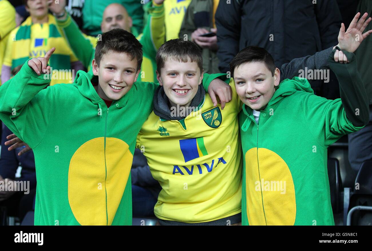 Soccer - Barclays Premier League - Swansea City v Norwich City - stade Liberty Banque D'Images