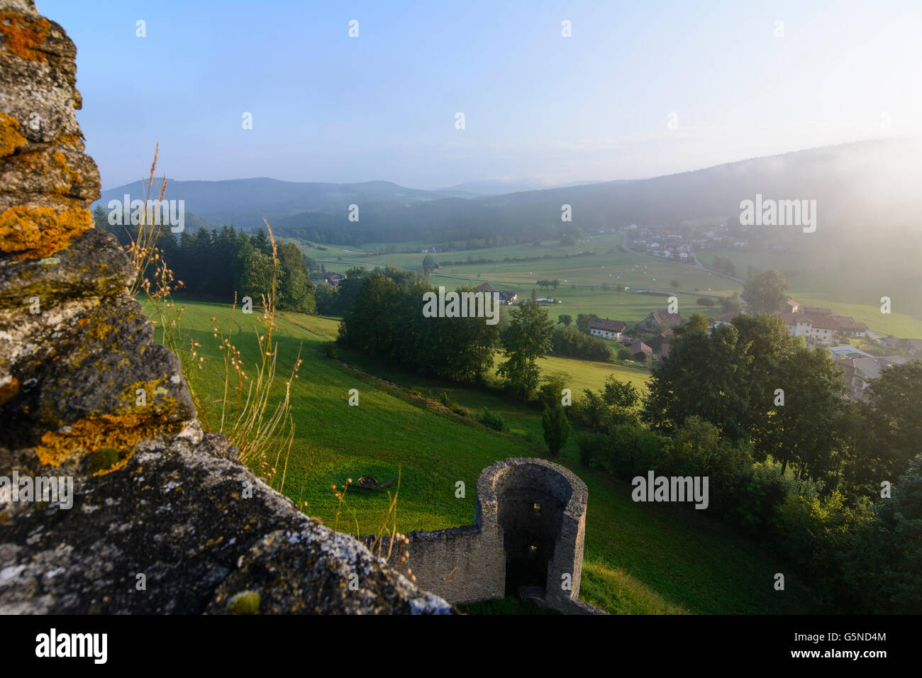 Neunußberg Château : La vue de la chambre de la tour dans la brume matinale sur Neunußberg et la forêt de Bavière, Viechtach, Allemagne, Baye Banque D'Images
