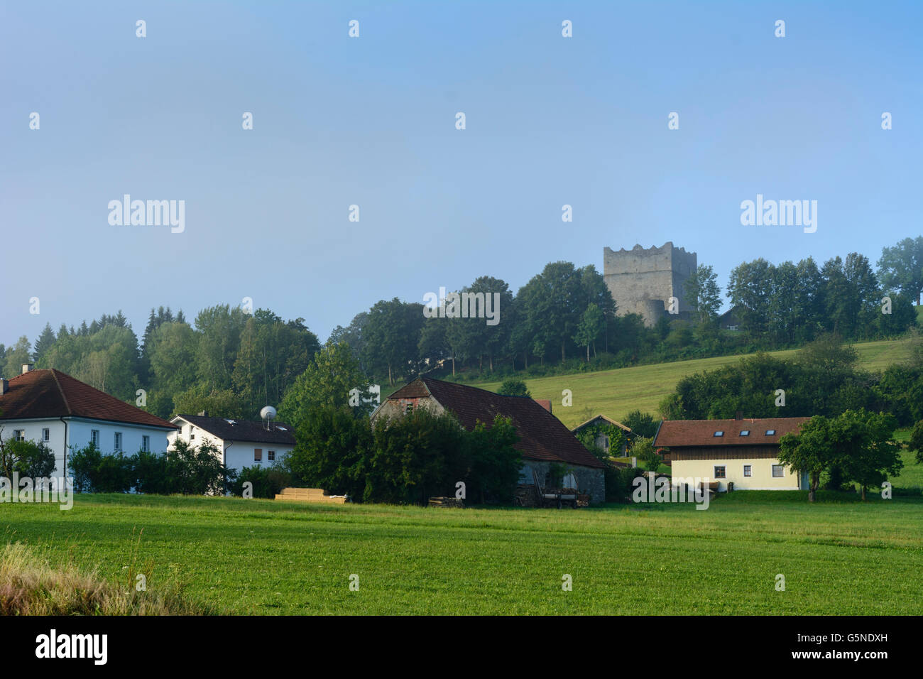 Neunußberg Château, Viechtach, Allemagne, Bavière, Bayern, Niederbayern, Basse-Bavière Banque D'Images
