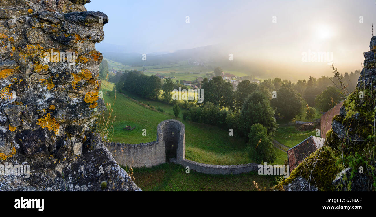 Neunußberg Château : La vue de la chambre de la tour dans la brume matinale sur Neunußberg et la forêt de Bavière, Viechtach, Allemagne, Baye Banque D'Images