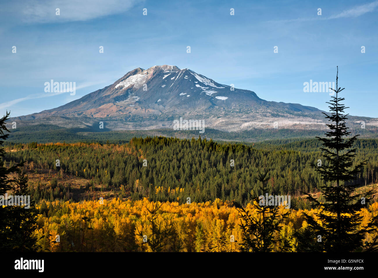 WA12836-00...WASHINGTON - La couleur de l'automne le long des rives du lac à la truite avec le Mont Adams au-delà. Banque D'Images
