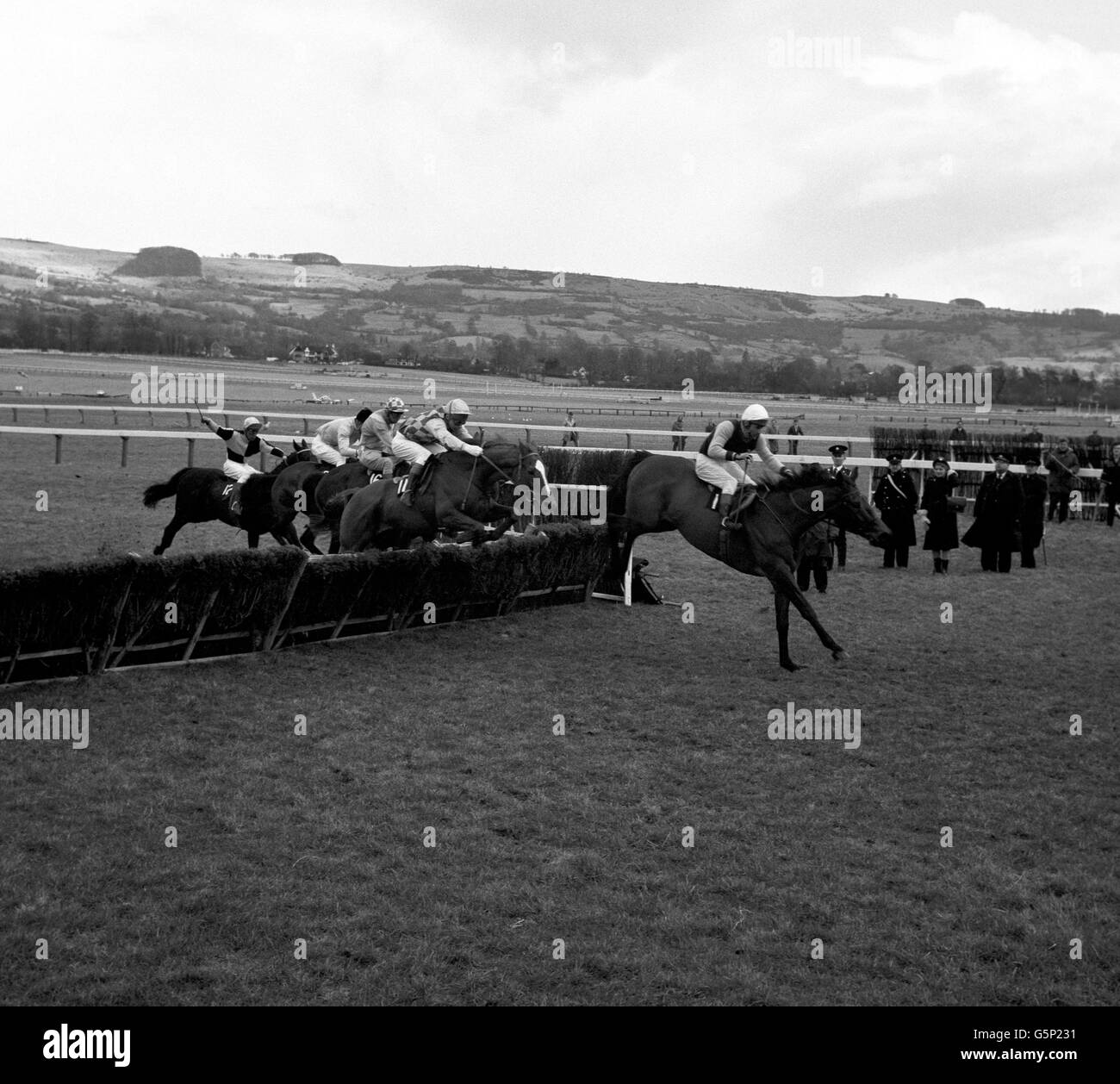 Bien que battu dans toutes ses cinq courses, Perse War avec J. Uttley en haut, mène le terrain sur le dernier vol pour gagner sa troisième coupe de défi de l'obstacle Champion successive à Cheltenham. Banque D'Images