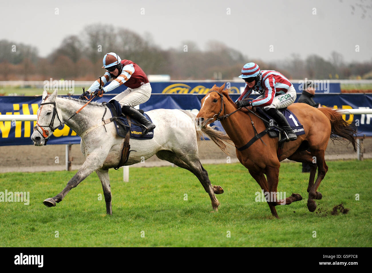 La charte de Royale, criblée par Nick Scholfield (à droite) et les ailes de fumée, criées par Michael Byrne, concourent lors de la Chase des novices en williamhill.com Banque D'Images