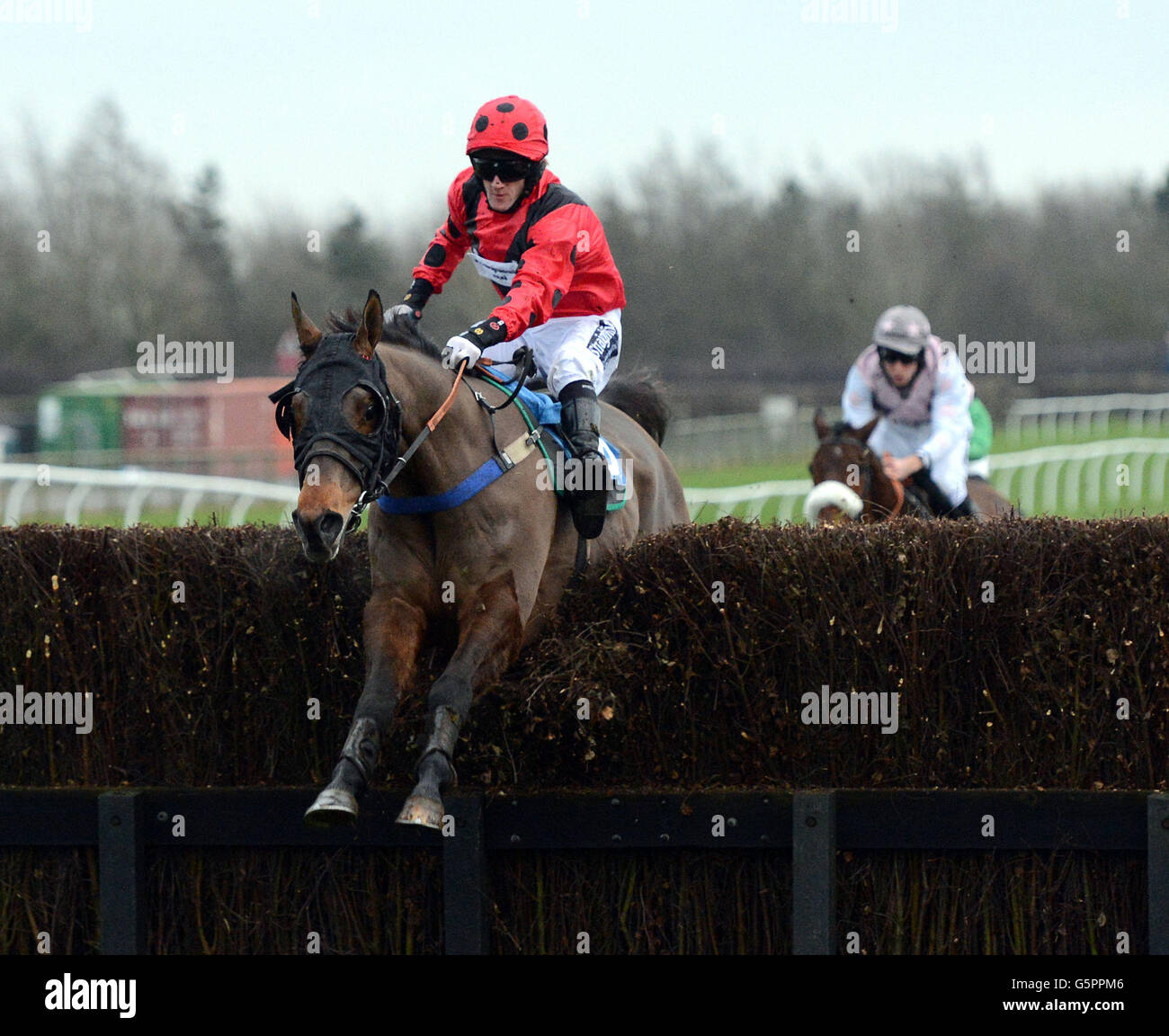 Courses hippiques - Catterick.Emirate Isle criblé par Wilson Renwick remporte le téléchargement de l'application Free Racing UK handicap Chase à Catterick racecourse, North Yorkshire. Banque D'Images