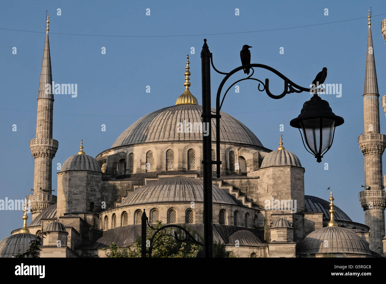Les oiseaux se perchent sur un poteau de lumière en face de la mosquée bleue à Sultanahmet, Istanbul, Turquie Banque D'Images
