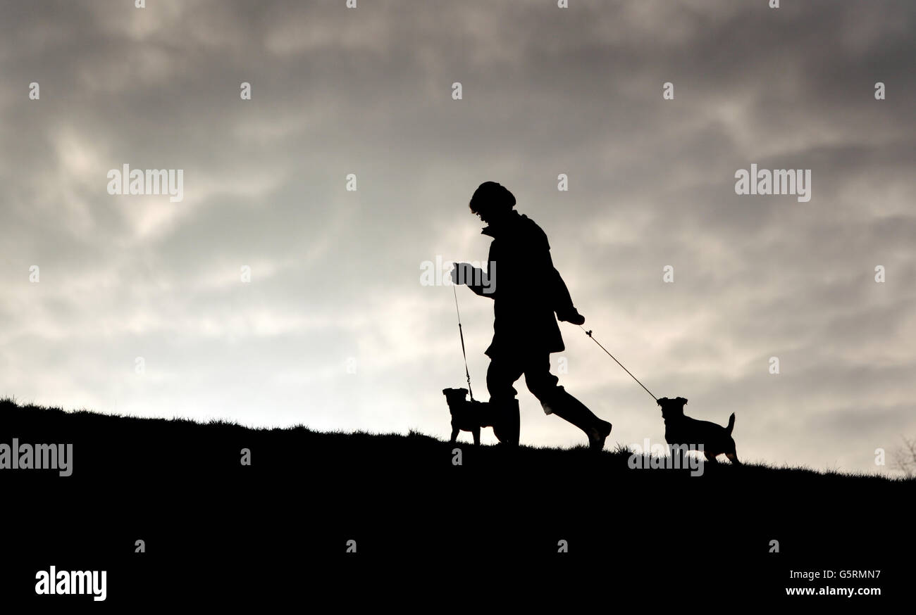 Un marcheur et ses terriens Jack Russell profitent du faible soleil d'hiver à Redhouse Park, Birmingham, cet après-midi avant le mauvais temps prévu pour le week-end. Banque D'Images