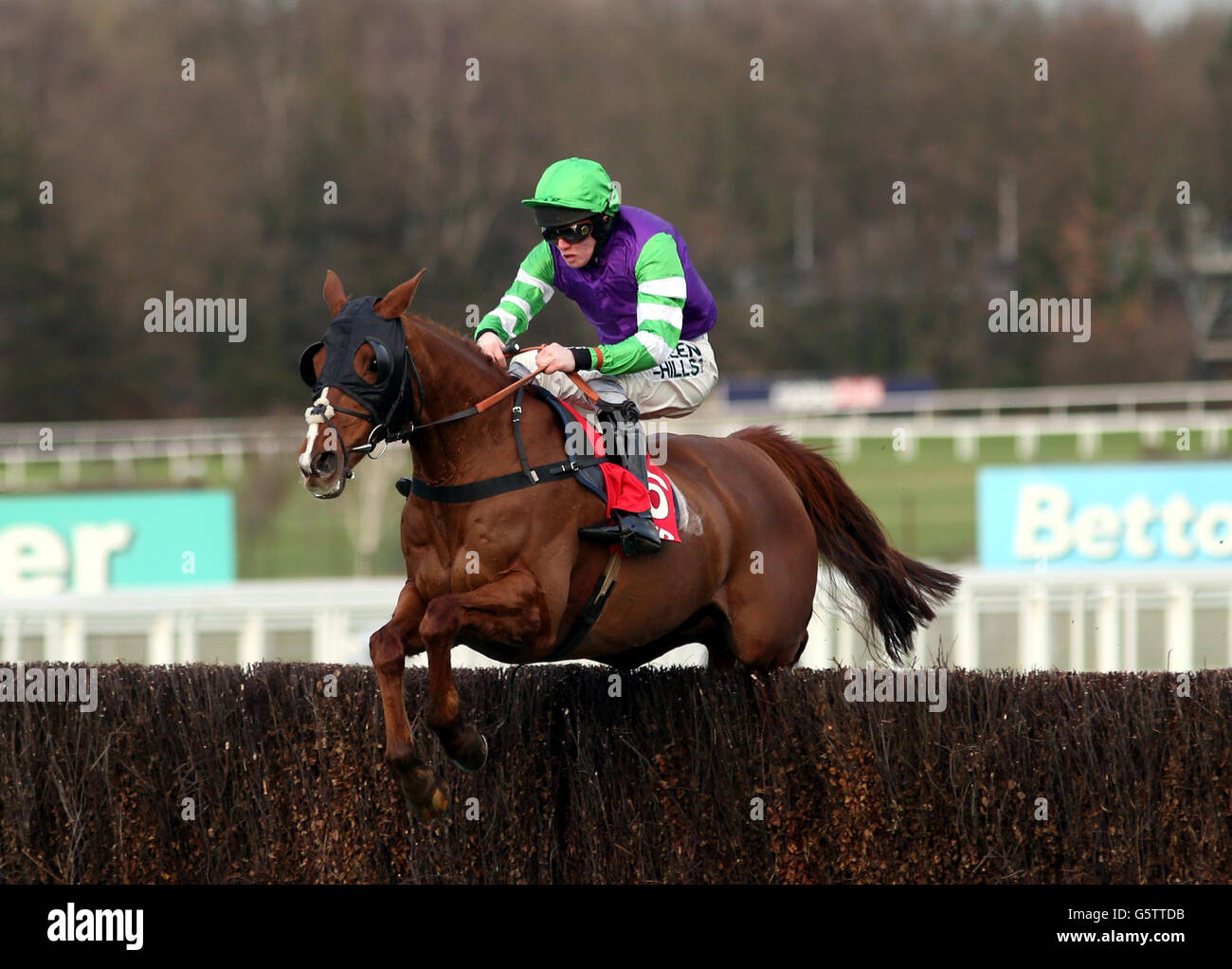 Lors de la journée des maîtres de Betfred au champ de courses de Sandown Park, à Surrey, George est monté en équipe par Joshua Moore et gagne le Befred Mobile Sports Veterans handicap Steeple Chase. Banque D'Images