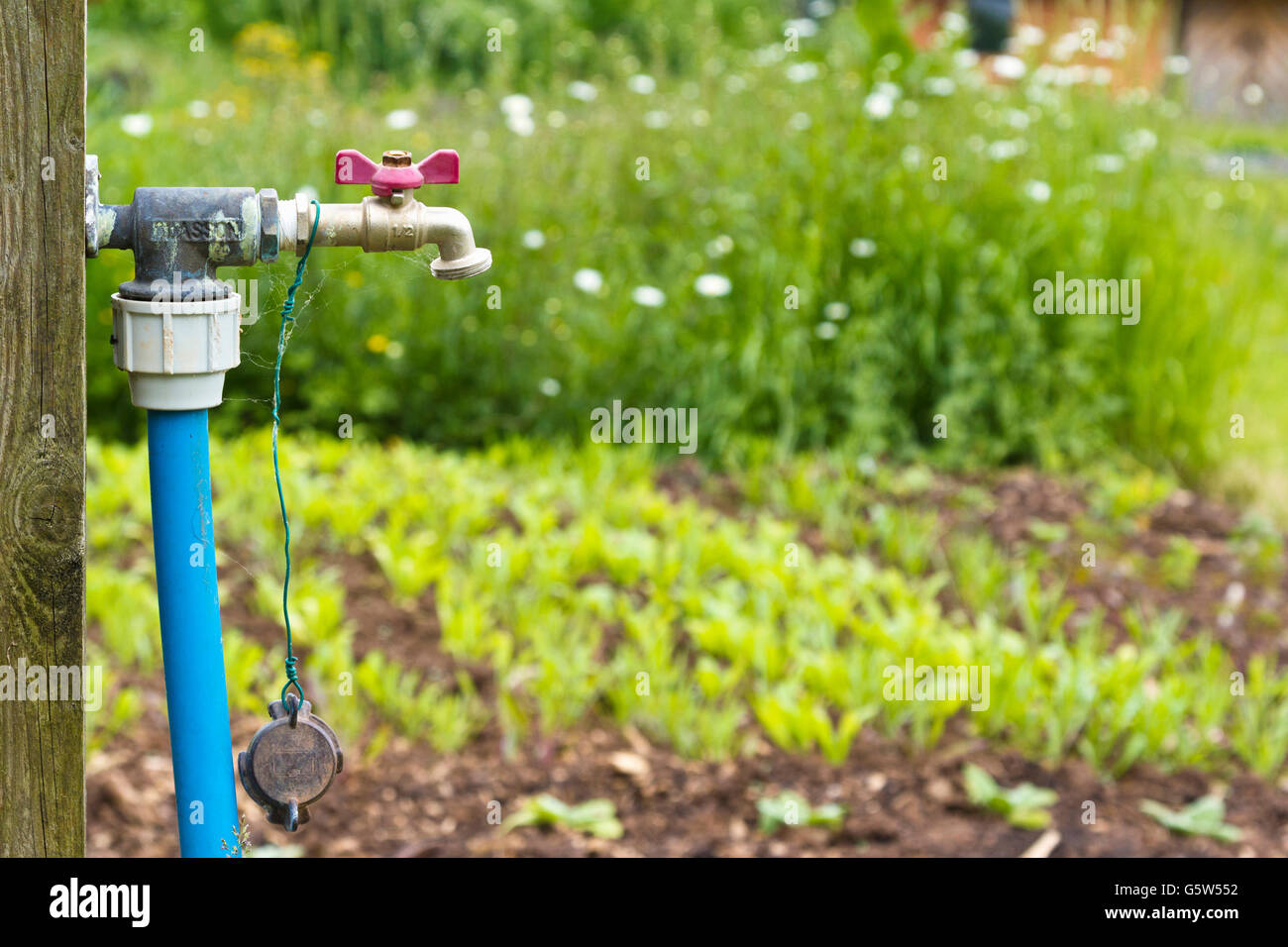 Un robinet d'eau dans un allotissement Banque D'Images