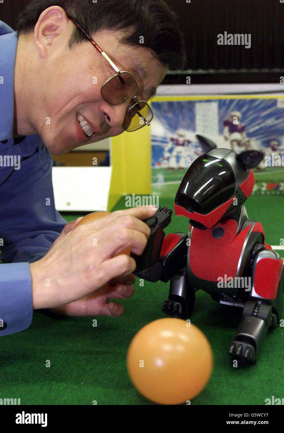 Le docteur Huosheng Hu, un expert en robotique basé à l'Université d'Essex et le directeur de l'équipe de football robot d'Angleterre, jouant avec ses chiens robotisés après avoir révélé qu'il a de graves blessures inquiète deux de ses joueurs dans la préparation de la coupe du monde de football robot.* il a dit que la moitié de l'équipe anglaise de quatre-forte de chiens robots ont des dysfonctionnements d'ordinateur dans leur tête, qui ne peut pas être fixé jusqu'à ce que le côté arrive au Japon pour le début de RoboCup 2002 le mois prochain. Banque D'Images