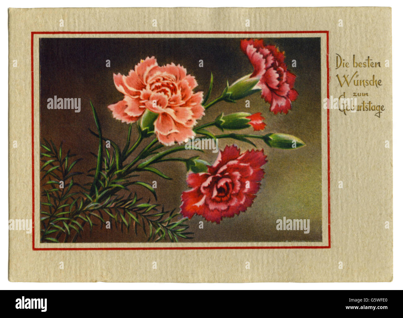 Festivites Carte De Voeux Anniversaire Die Besten Wunsche Zum Geburtstage Meilleurs Voeux Pour Votre Anniversaire Cyclamens Carte Postale Allemagne Annees 1930 Droits Additionnels Clearences Non Disponible Photo Stock Alamy Festivites Carte De Voeux Anniversaire Die Besten Wunsche Zum Geburtstage Meilleurs Voeux Pour Votre Anniversaire Cyclamens Carte Postale Allemagne Annees 1930 Droits Additionnels Clearences Non Disponible Photo Stock Alamy