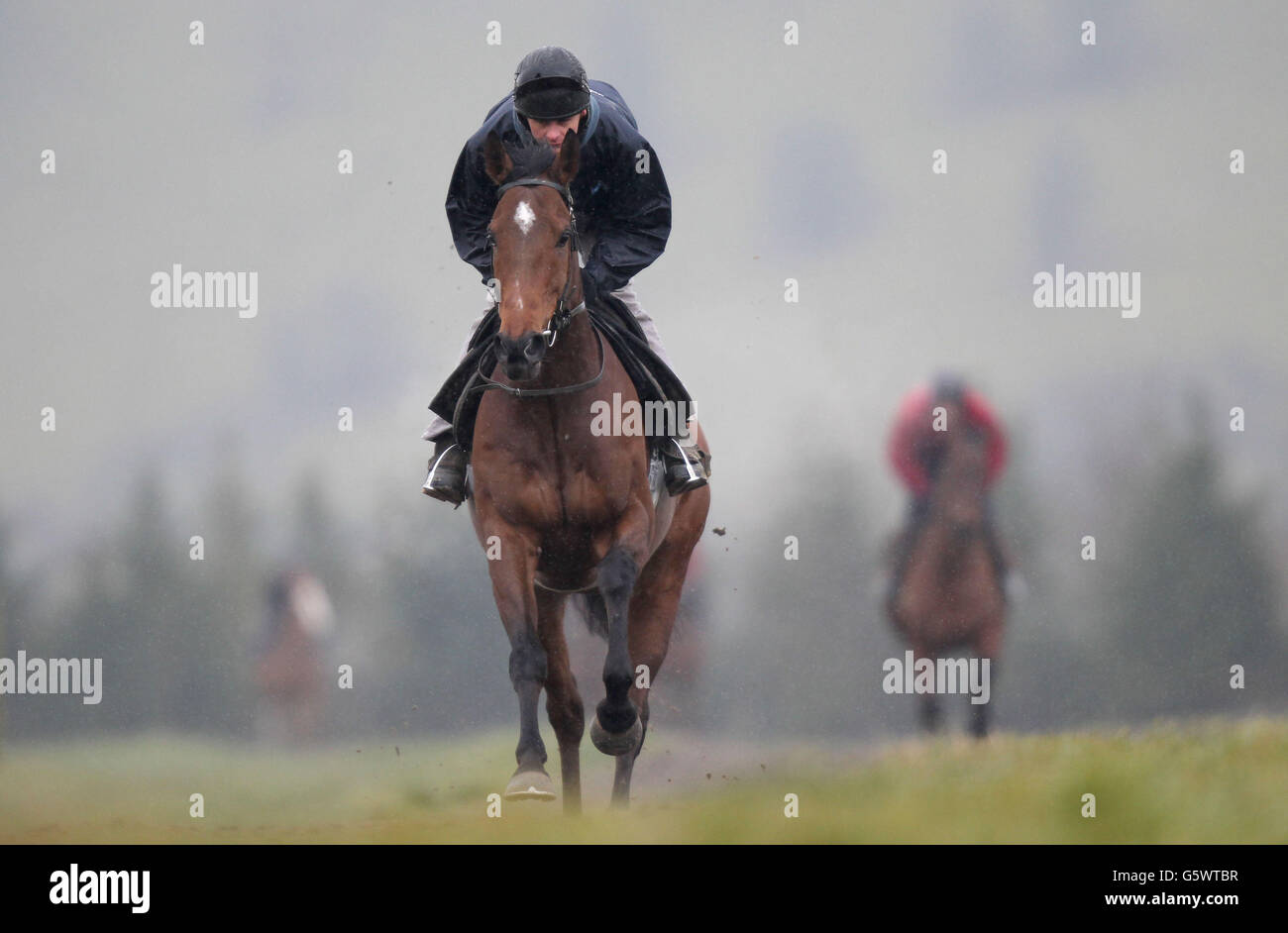 The New One lors de la visite des écuries Nigel Twiston-Davies à Grange Hill Farm, à Naunton. Banque D'Images