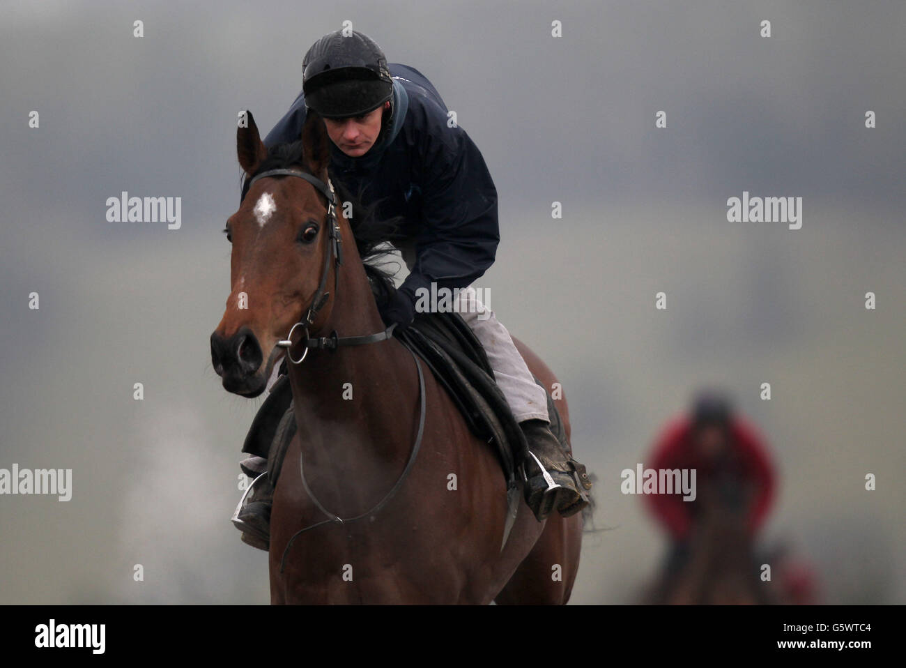 The New One lors de la visite des écuries Nigel Twiston-Davies à Grange Hill Farm, à Naunton. Banque D'Images