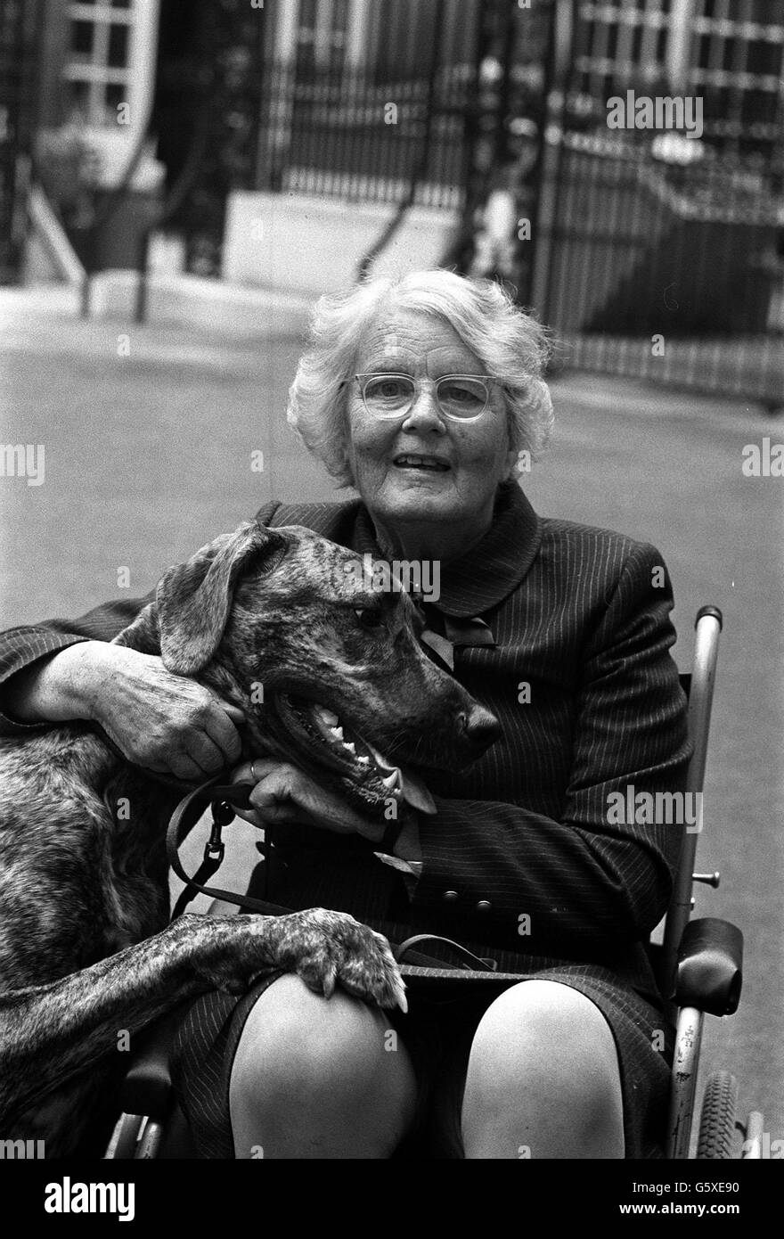 Barbara Woodhouse, entraîneuse de chien de télévision, avec son grand chiot Dane Julie, qui lance un message « Your Dog Aas You » pour les propriétaires de chiens au nom de la campagne nationale contre les accidents vasculaires cérébraux. Elle n'a pas pu marcher sans aide depuis un accident vasculaire cérébral en 1984. Banque D'Images