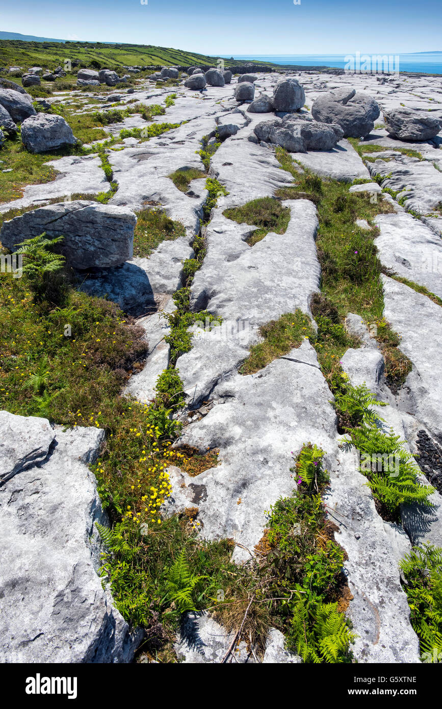 Murrooghtoohy Le Burren, comté de Clare, Irlande Banque D'Images