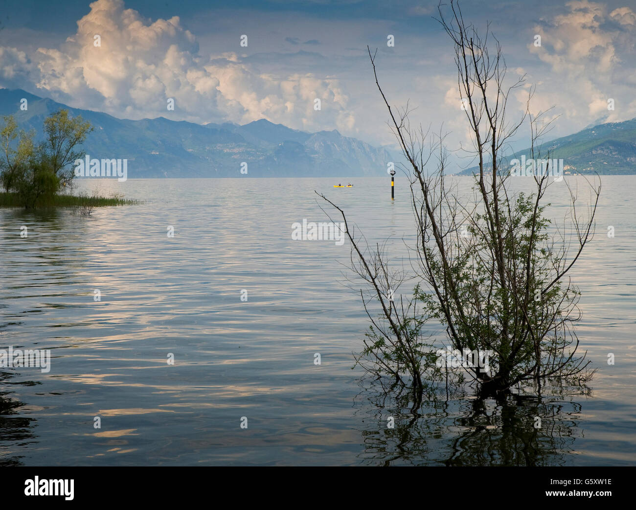 Le lac de Garde en Italie avec l'arbre de premier plan dans l'eau bouillonnante et nuages sur les montagnes derrière Banque D'Images