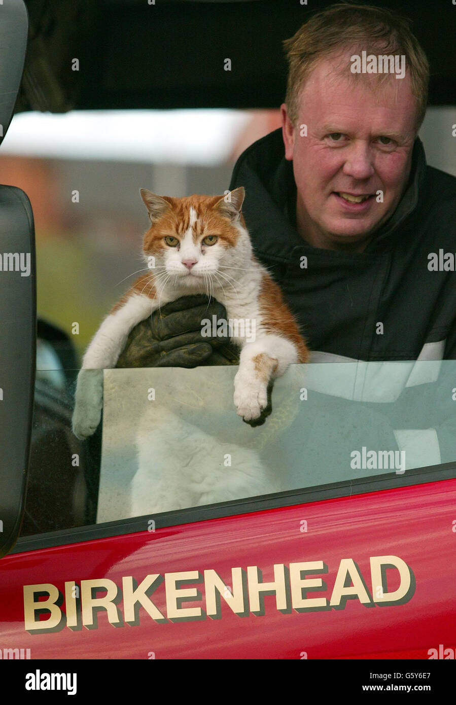 Le pompier de Birkenhead Steve McArdle avec la station Cat Angus qui a divisé le personnel avec une décision quant à savoir s'il devrait rester ou aller.Le tom aux cheveux de gingembre a gardé la station Merseyside sans rat pendant 16 ans, mais une des montres a appliqué pour se débarrasser de l'animal de compagnie.*..., pour des raisons de santé et de sécurité.Mais deux autres montres à la station se sont unies dans une campagne 'Save Angus' pour garder l'animal gériatrique.07/08/02 Un compromis heureux a été atteint sur l'avenir d'un chat qui a déclenché une rangée flamboyante dans une caserne de pompiers de Merseyside.Angus, le tom aux cheveux de gingembre, a été adopté par Banque D'Images