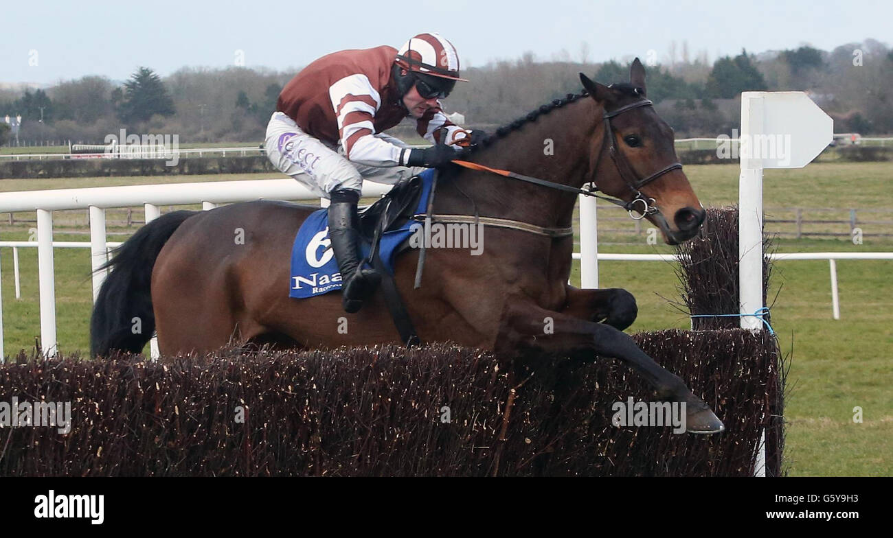 Rich Revival, conté par Brian O'Connell, remporte le Woodlands Park 100 Club Leinster National et la Fête des mères pendant le Woodlands Park 100 Club Leinster National et la Fête des mères à l'hippodrome de Naas, Naas, Irlande. Banque D'Images