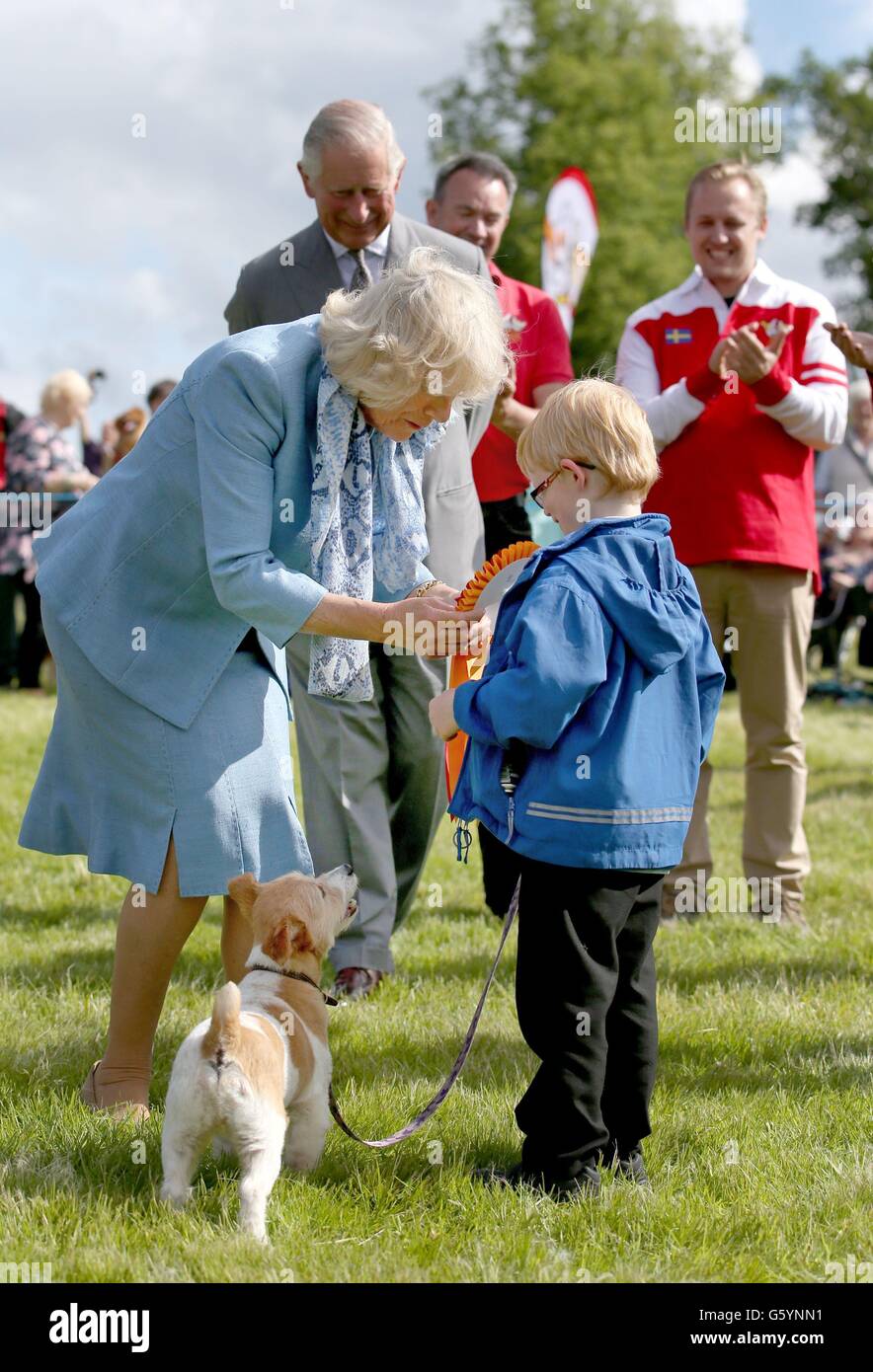 Exposition canine dumfries house Banque de photographies et d’images à