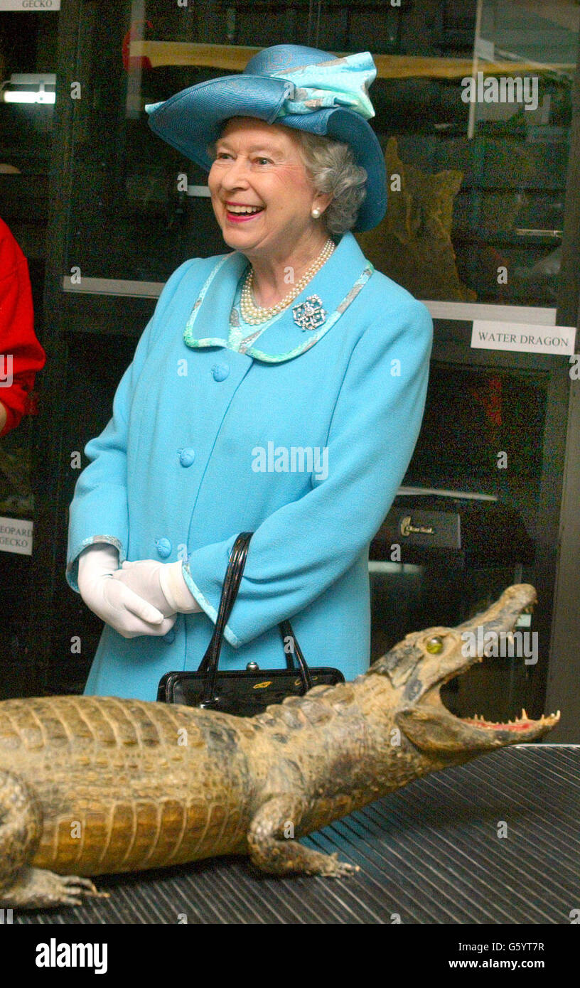 La reine Elizabeth II de Grande-Bretagne vient face à face avec un alligator farci lors d'une visite à l'université agricole Bishop Burton près de Beverley, dans le Yorkshire.Plus tard, elle se rendra à Beverley Racecourse pour assister à une réunion de course et visiter un festival de la vie rurale. Banque D'Images La reine Elizabeth II de Grande-Bretagne vient face à face avec un alligator farci lors d'une visite à l'université agricole Bishop Burton près de Beverley, dans le Yorkshire.Plus tard, elle se rendra à Beverley Racecourse pour assister à une réunion de course et visiter un festival de la vie rurale. Banque D'Images