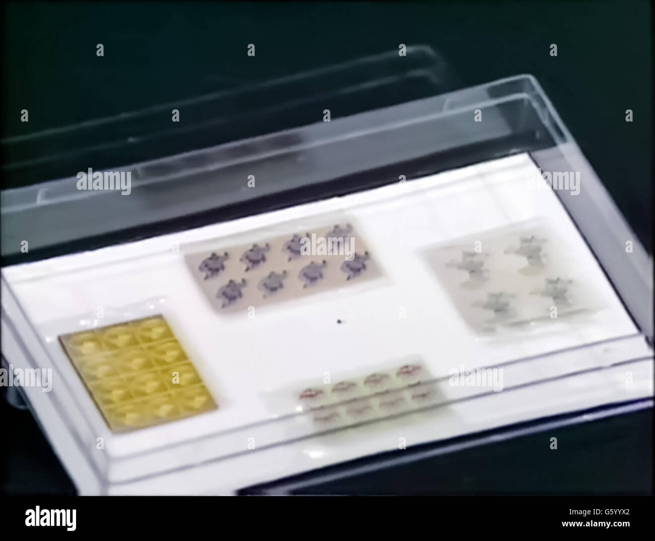 Le LSD tabs, toujours à partir de la BBC "Drugwatch" présenté par Esther Rantzen et Nick Ross. Première diffusion le 21 juillet 1985, la télévision a présenté les résultats de la plus grande étude sur l'abus de drogues menée en Grande-Bretagne à cette époque. Banque D'Images