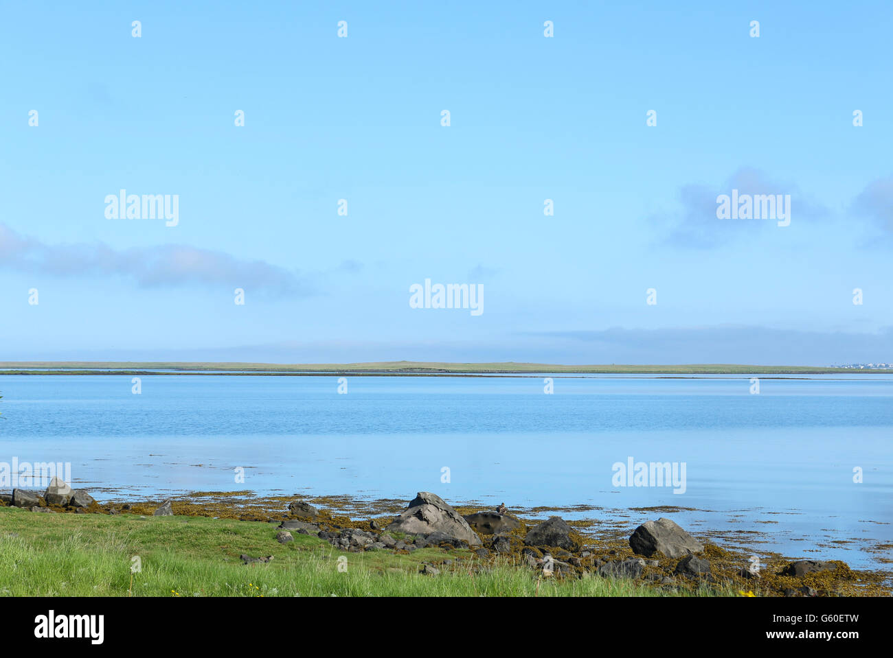 Une vue sur l'océan de Gardabaer, avec renoncules avec Reykjavik et Kopavogur dans distance-1 Banque D'Images