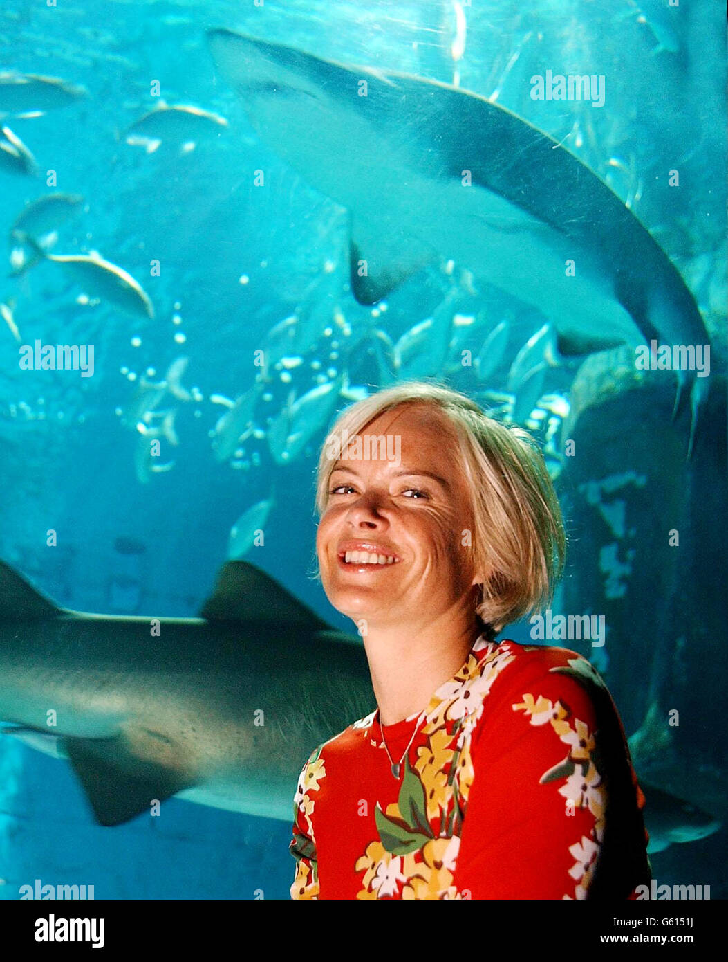 La présentatrice de télévision Mariella Frostrup, à côté d'un des chars de requins à l'aquarium de Londres. En tant que mécène de Shark Trust, elle a contribué à promouvoir la semaine des requins, au cours de laquelle divers événements sont lancés pour sensibiliser les gens. *... et fournir un soutien à la campagne du gouvernement britannique pour inscrire les requins pèlerins sur une liste de protection des espèces. Banque D'Images