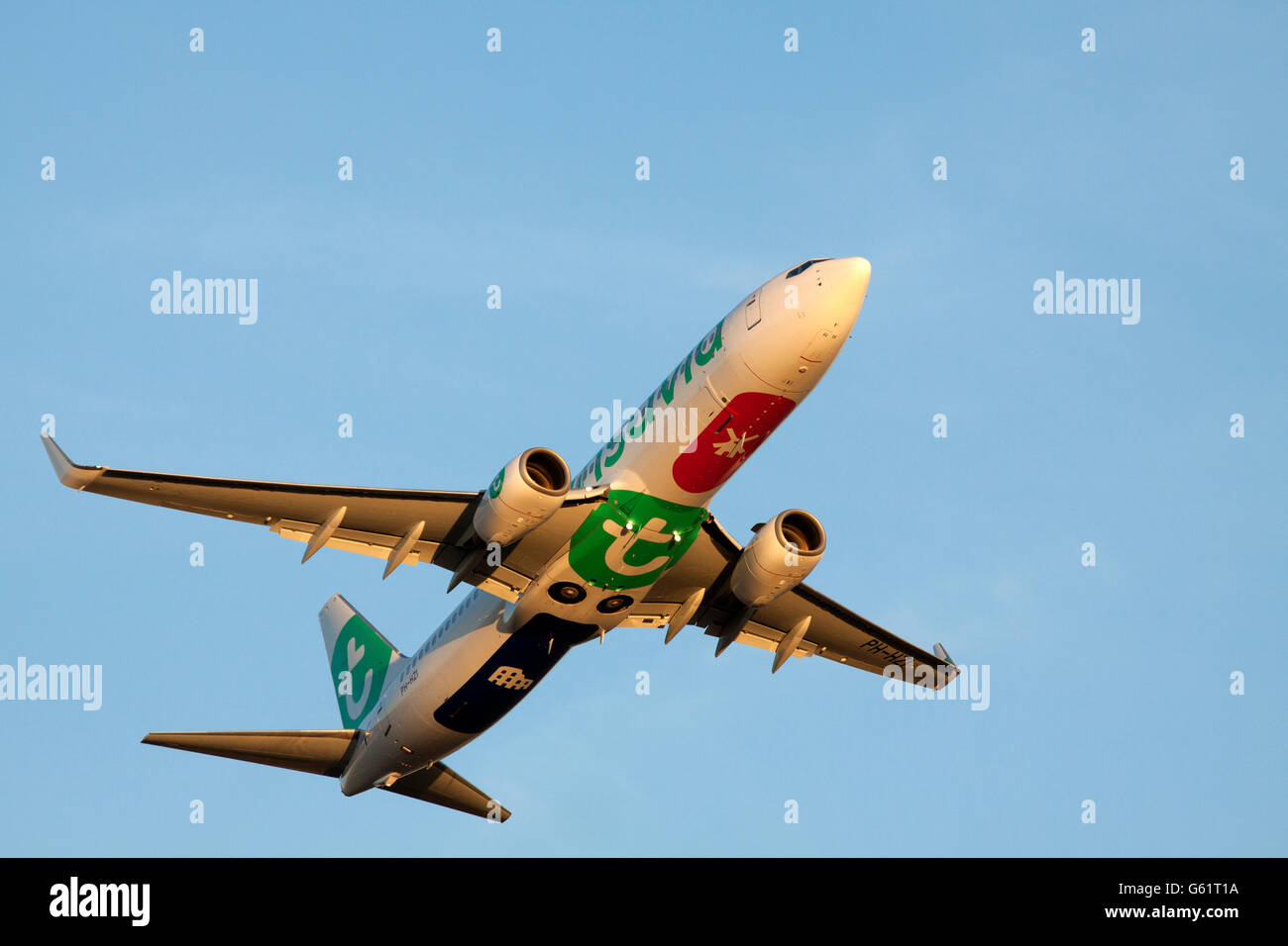 Amsterdam, Pays-Bas - 18 Février 2015 : Boeing 737-800 avec les nouvelles couleurs Transavia juste décollé de l'aéroport de Schiphol Banque D'Images