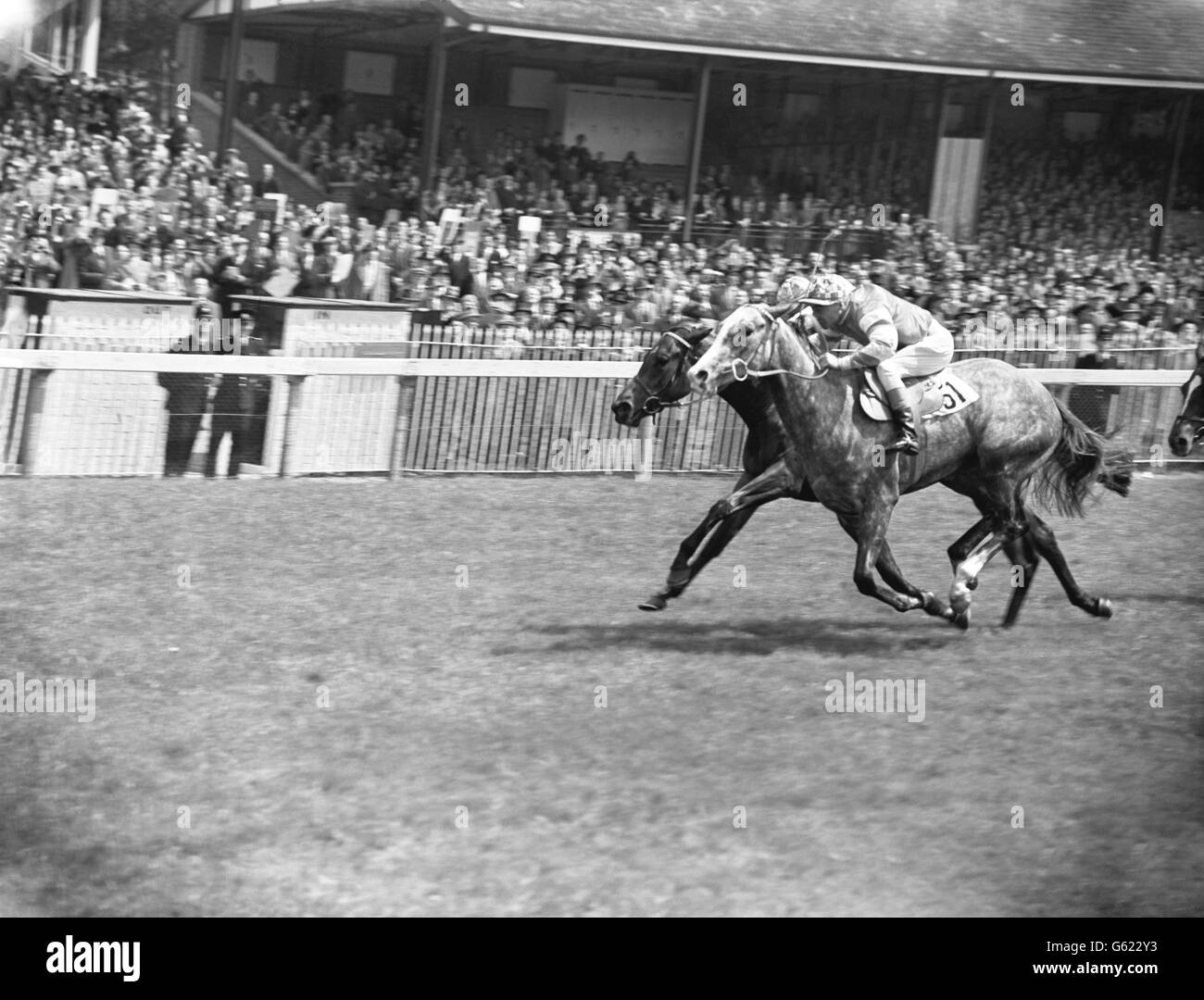 « Queen of Hearts » et « Crash Landing » sont chargés vers le poste d'arrivée. « crash Landing », avec W. Cook, a remporté la victoire. Banque D'Images