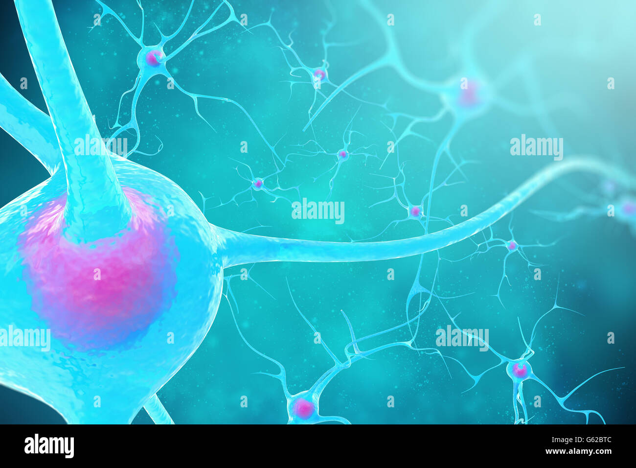 Les neurones dans le cerveau sur fond bleu. 3d illustration Banque D'Images