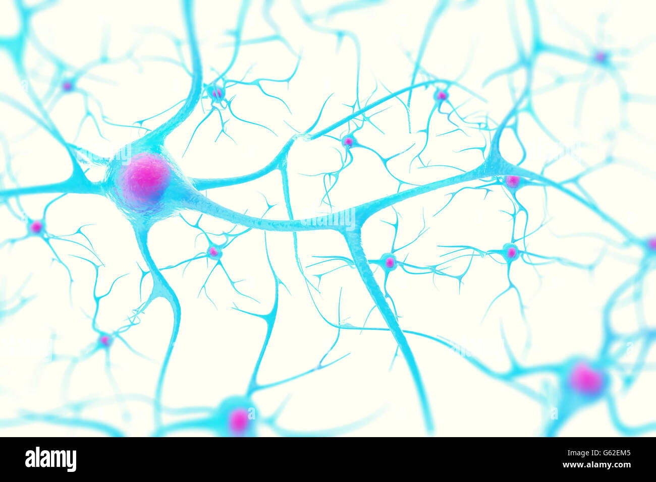 Les neurones dans le cerveau sur fond blanc avec l'accent d'effet. 3d illustration Banque D'Images