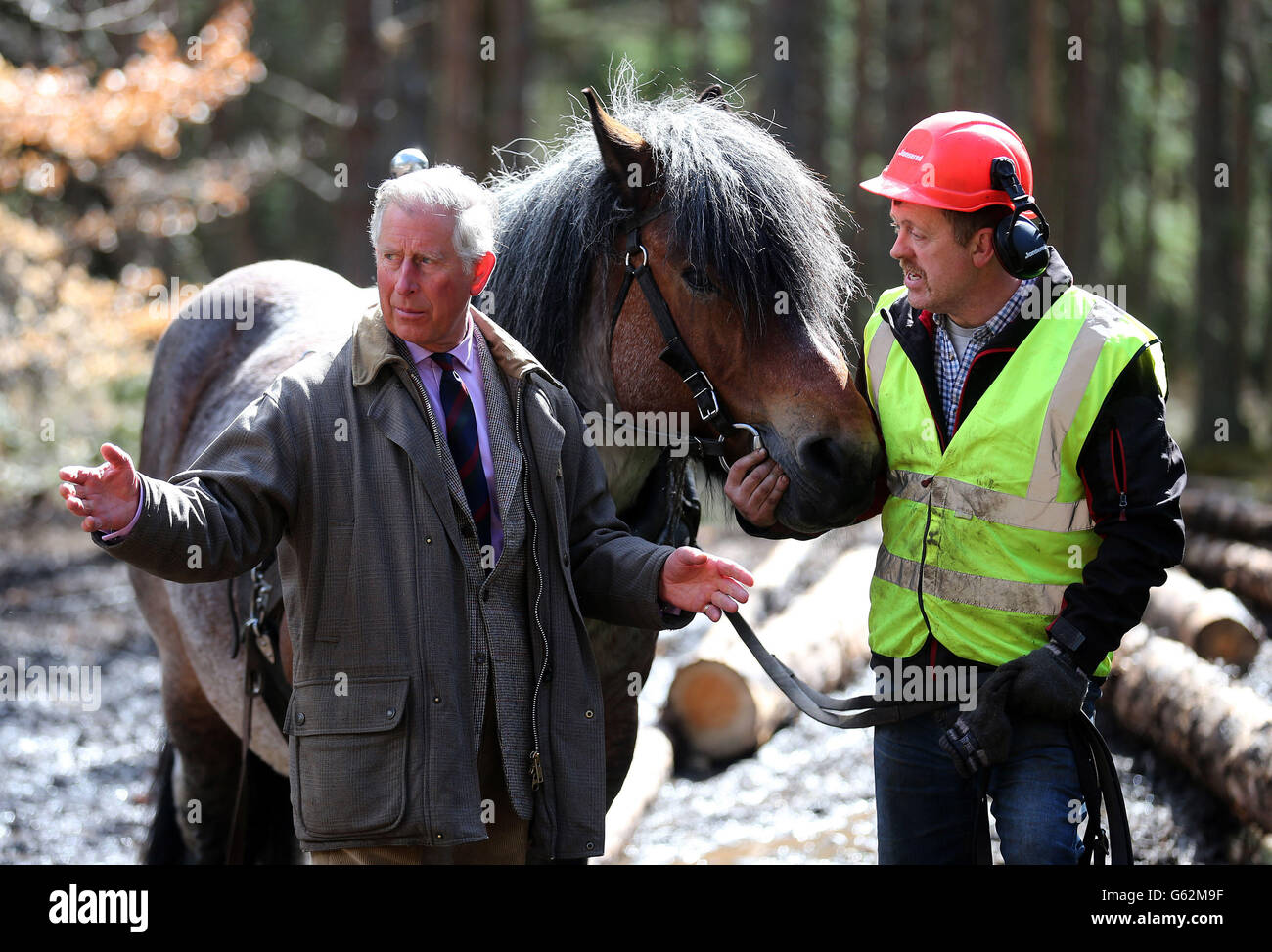 Le prince de Galles, connu sous le nom de duc de Rothesay en Écosse, parle avec le bûcheron de cheval Simon Lenihan lors d'une visite pour rencontrer des bûcherons sur le domaine Balmoral où il a également rencontré des propriétaires fonciers et des ouvriers forestiers. Banque D'Images