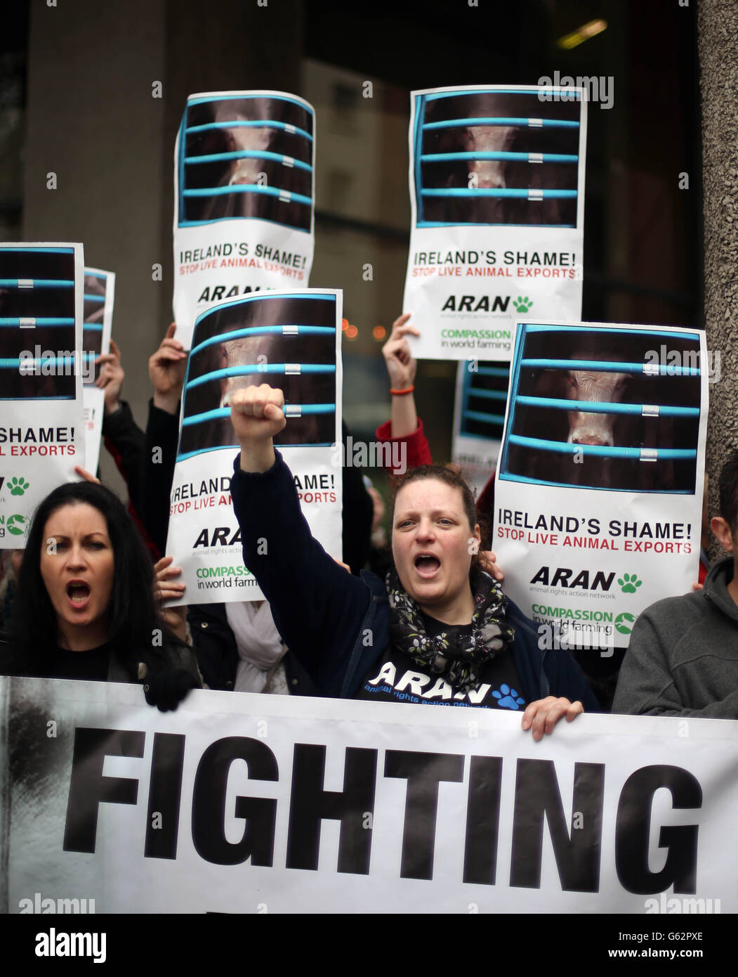 Les militants du Animal Rights action Network tiennent aujourd'hui un rassemblement contre les exportations vivantes d'Irlande au département de l'Agriculture à Dublin. Banque D'Images
