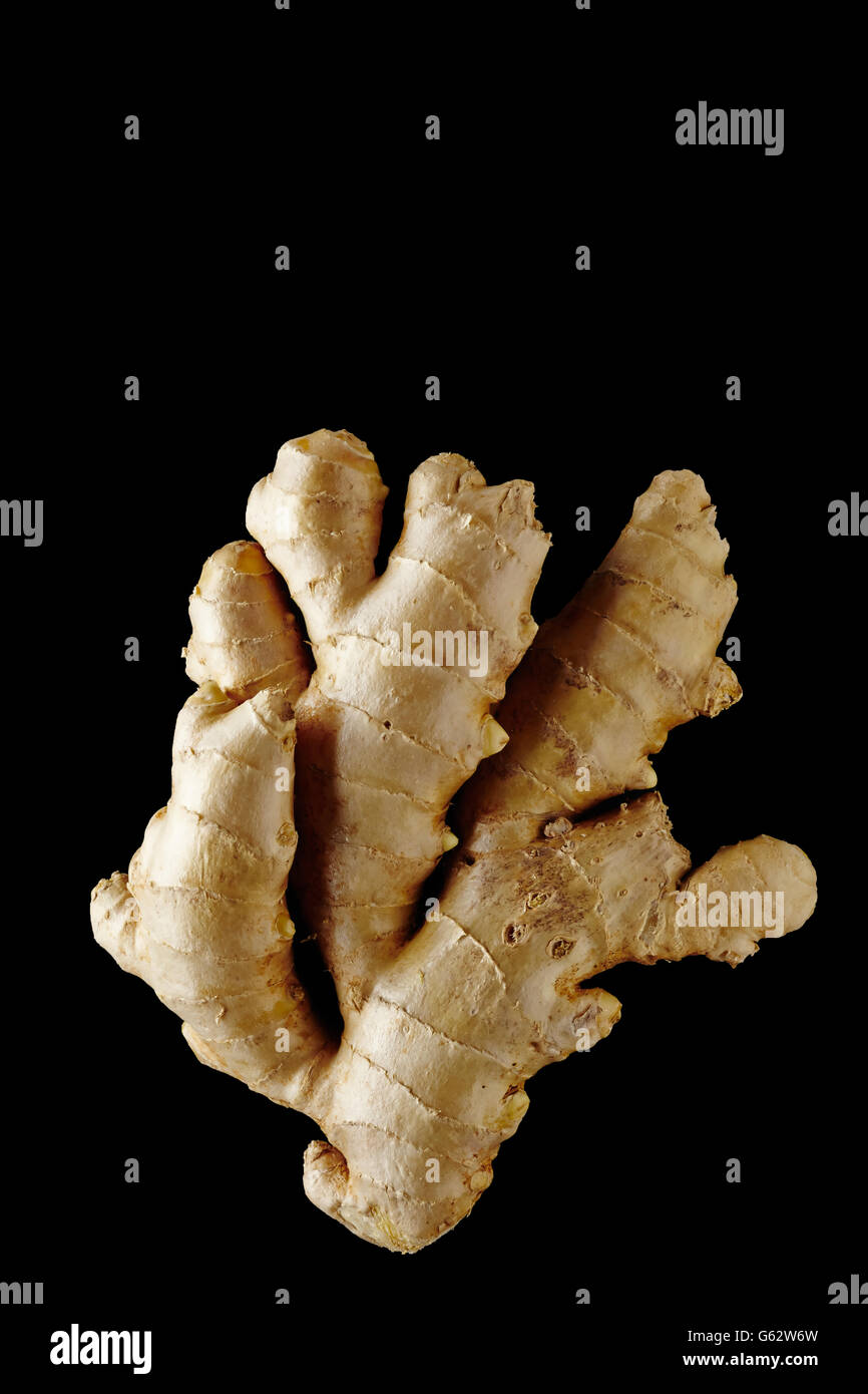 La racine de gingembre. Isolé sur fond noir. Banque D'Images