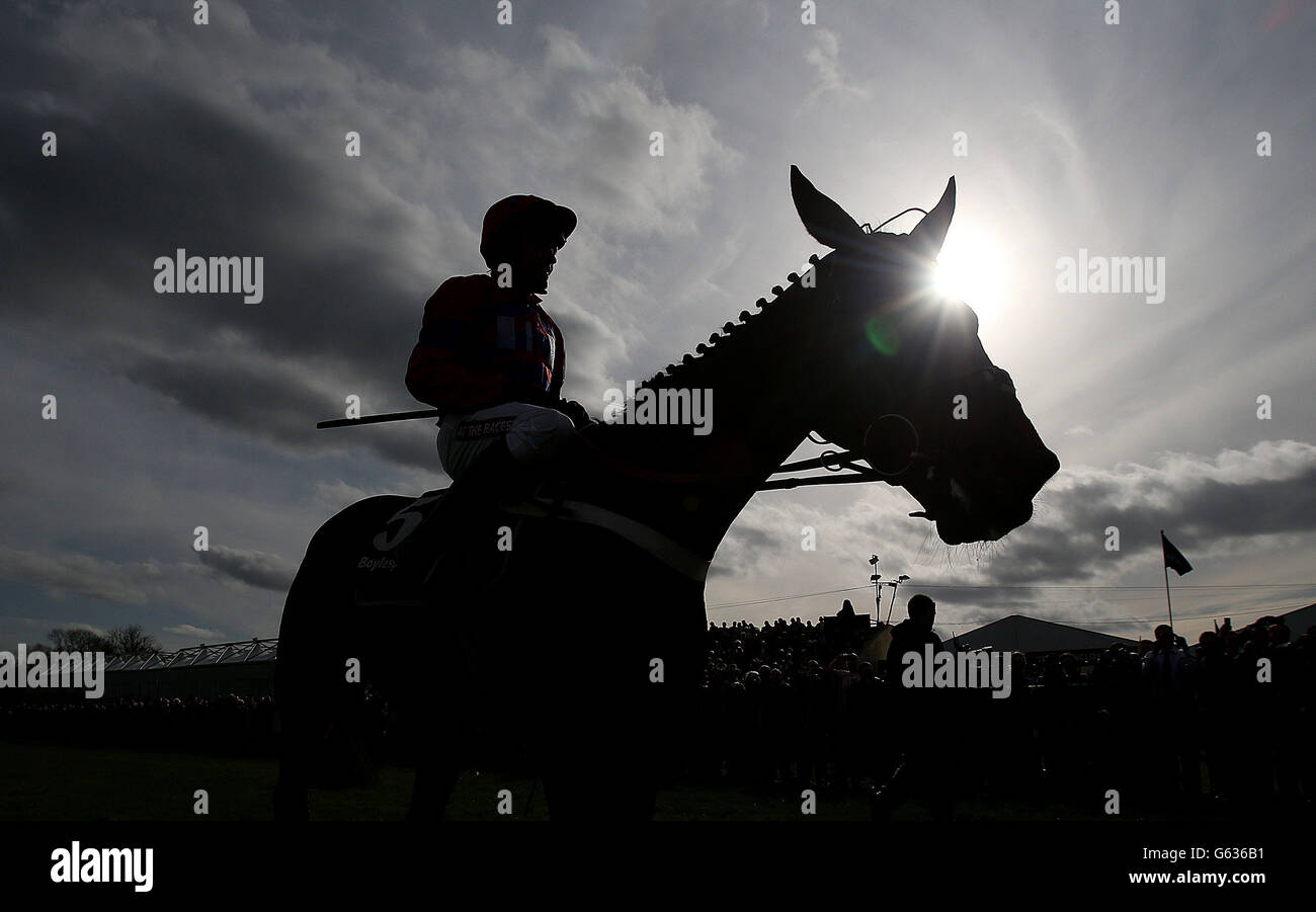 Sprinter Sacre sous le jockey Barry Geraghty célèbre la victoire sur la taille de l'Europe à la Chase Champion Boylesports.Com pendant la journée des Boylesports au Festival 2013 de Punchartown Racecourse, Co Kildare, Irlande. Banque D'Images