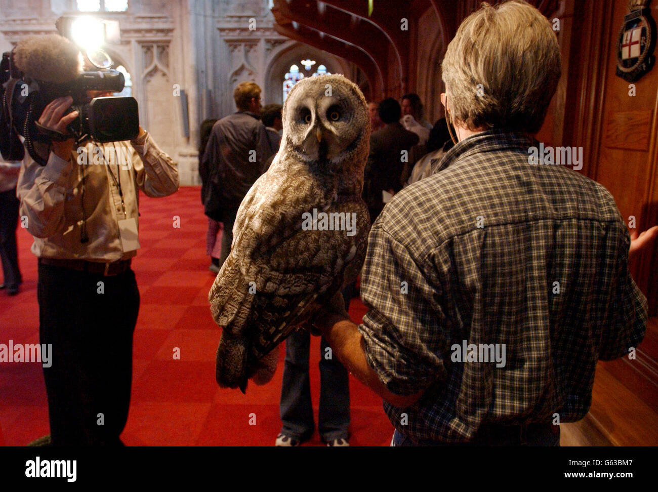 Harry Potter - Owl.La chouette du dernier film Harry Potter 'Harry Potter et la Chambre des secretss' pendant un photocall. Banque D'Images
