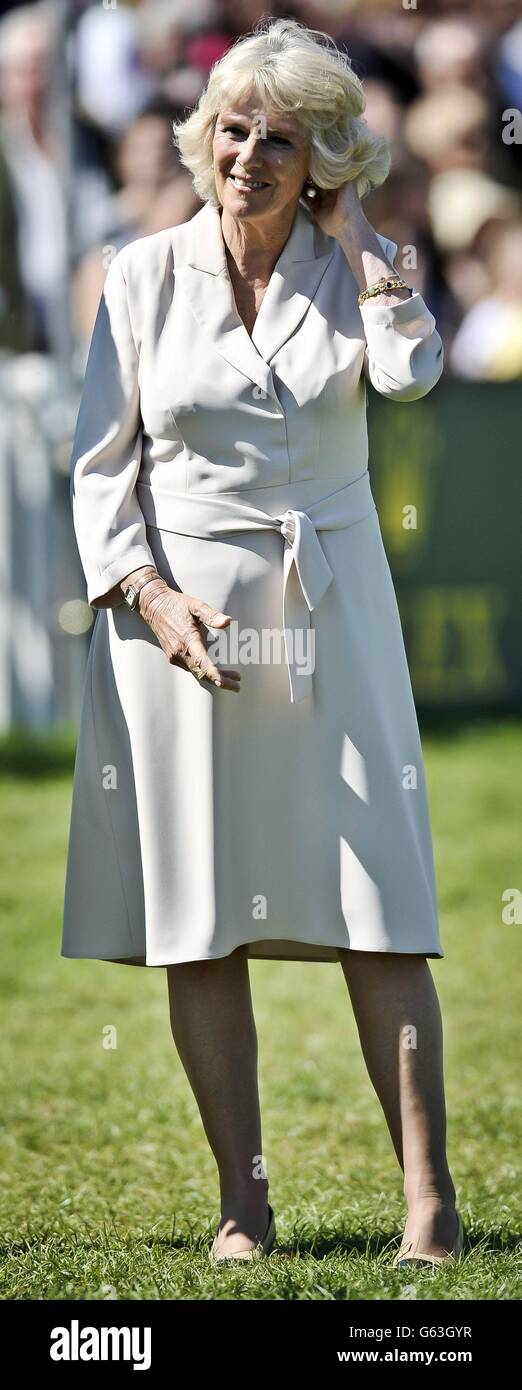 Son Altesse Royale la Duchesse de Cornwall dans l'arène Show Jumping pendant le cinquième jour des épreuves de badminton à Badminton, Gloucestershire. Banque D'Images