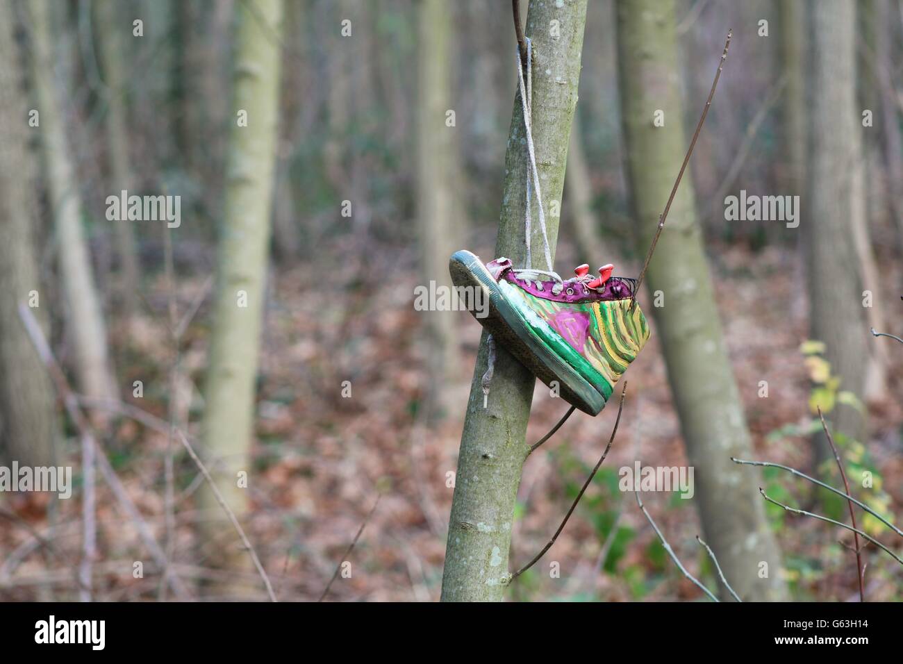 Chaussure dans un arbre Banque D'Images