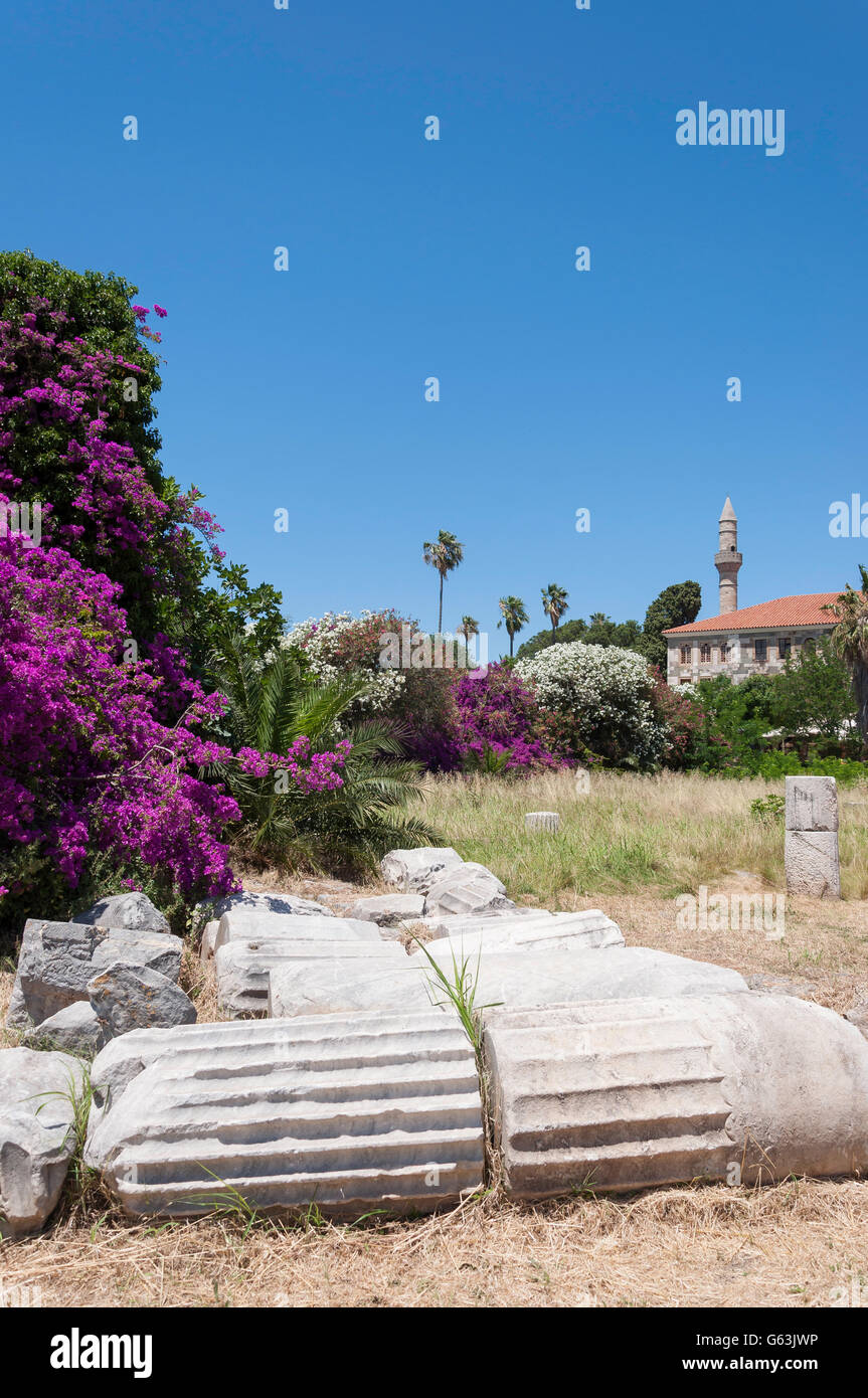 Colonnes dans le sanctuaire d'Aphrodite à l'Agora, Kos Town, Kos (Cos), du Dodécanèse, Grèce, région sud de la Mer Egée Banque D'Images