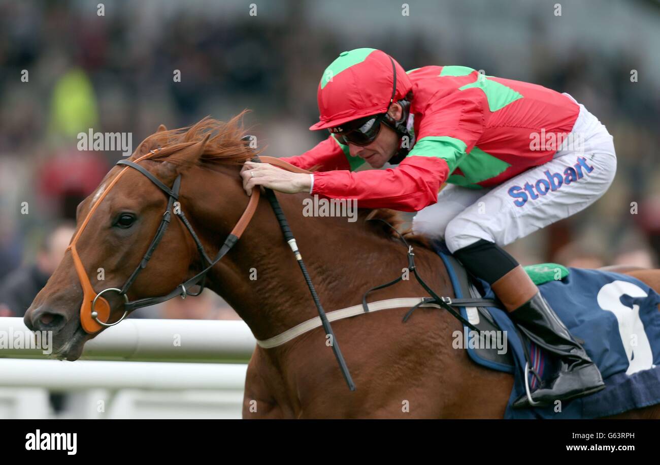 Richard Hughes, champion de la victoire dans les piquets Hildon Maiden lors du tournoi Scope & SIA Charity Raceday à Newbury. Champ de courses. APPUYEZ SUR PHOTO D'ASSOCIATION. Date de la photo: Vendredi 17 mai 2013. Voir PA Story RACING Newbury. Le crédit photo devrait se lire comme suit : David Davies/PA Wire Banque D'Images